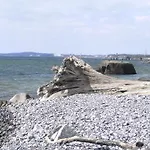Fischerhaus Koenig In Alt * Sassnitz